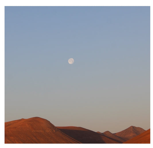 Desert Moon Medallion Necklace