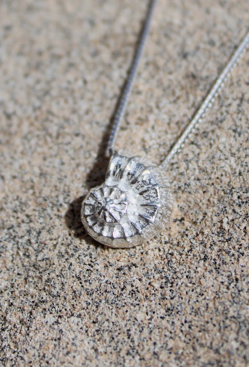 Marine Coast Textured Seashell Pendant