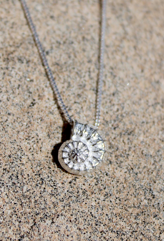 Marine Coast Textured Seashell Pendant