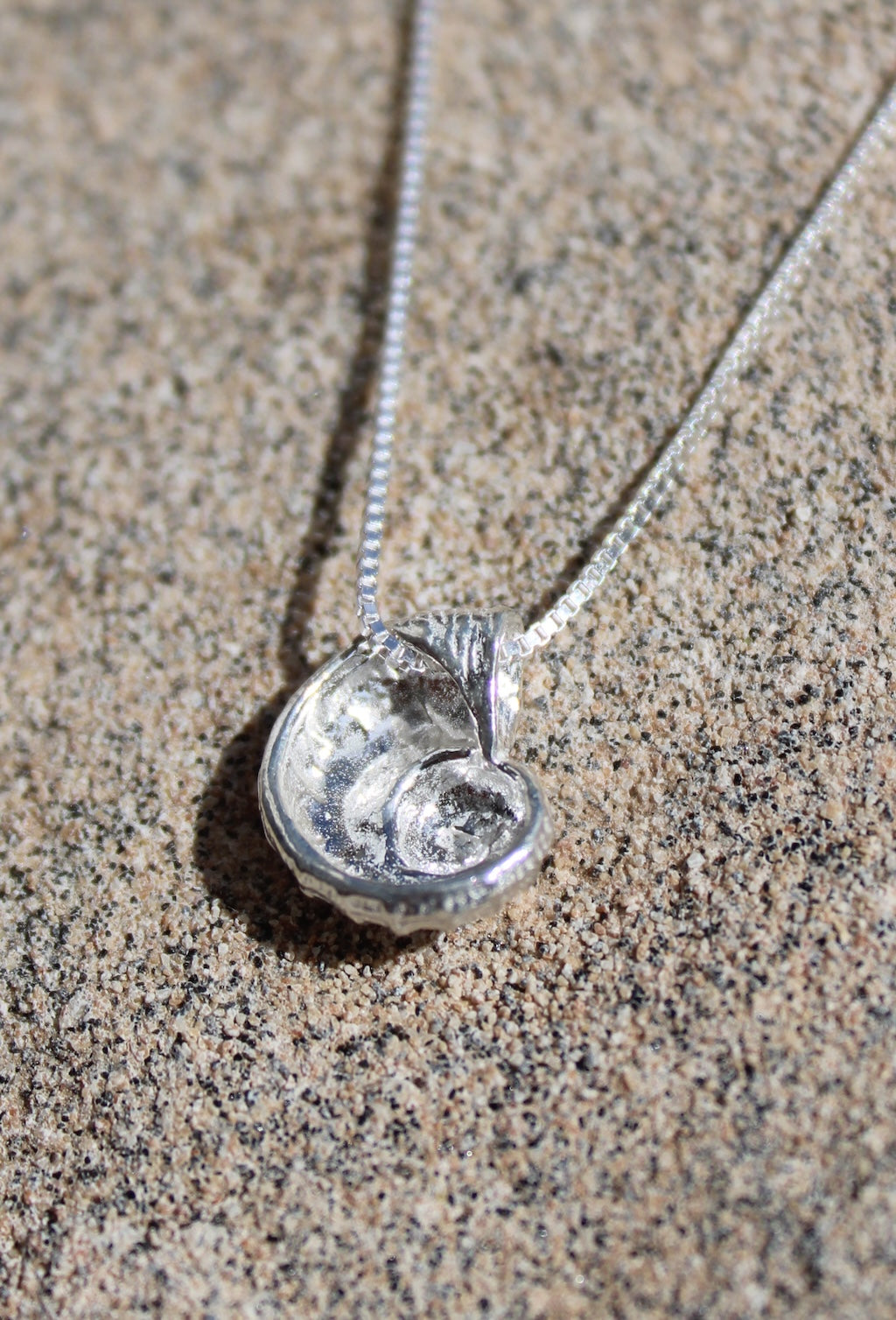 Marine Coast Textured Seashell Pendant