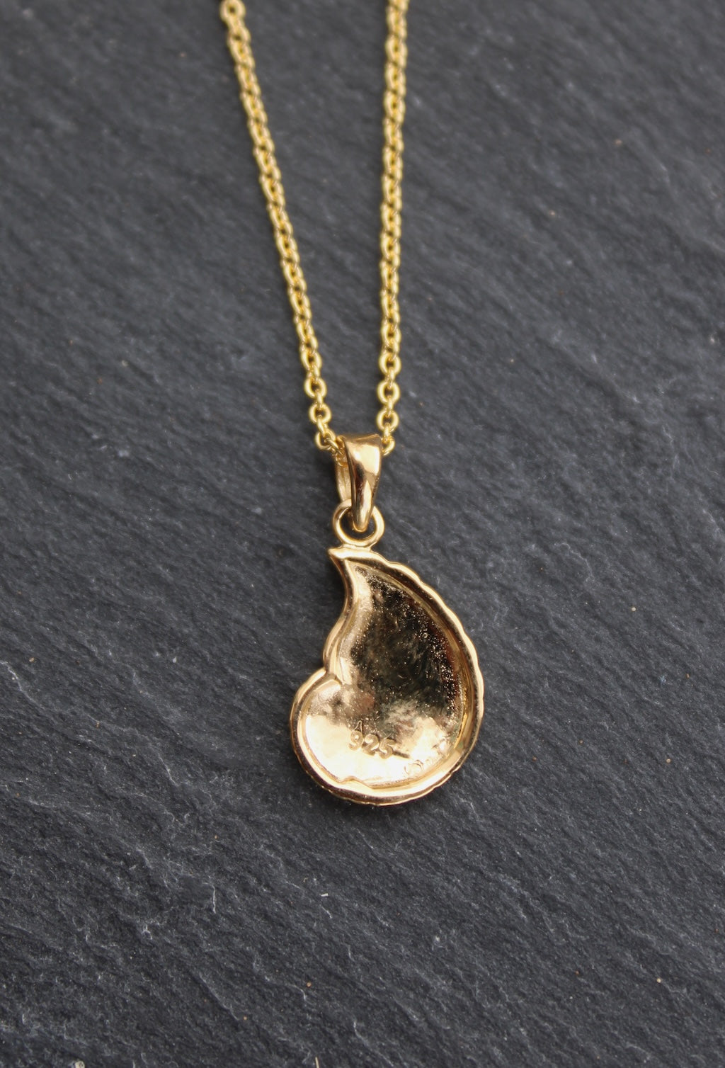 Nautilus ~ Sea Shell Necklace