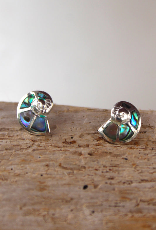 Natural Sea Shell Inlay Earrings