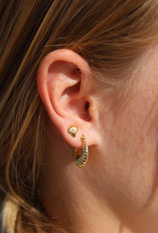 Mini Gold Seashell Stud Earrings