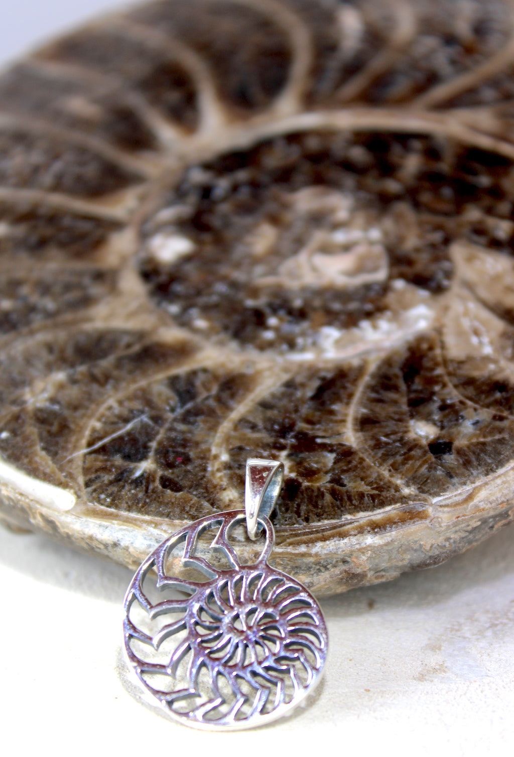 Ammonite Pendant/Necklace