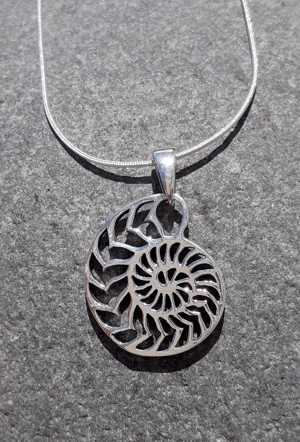 Ammonite Pendant/Necklace