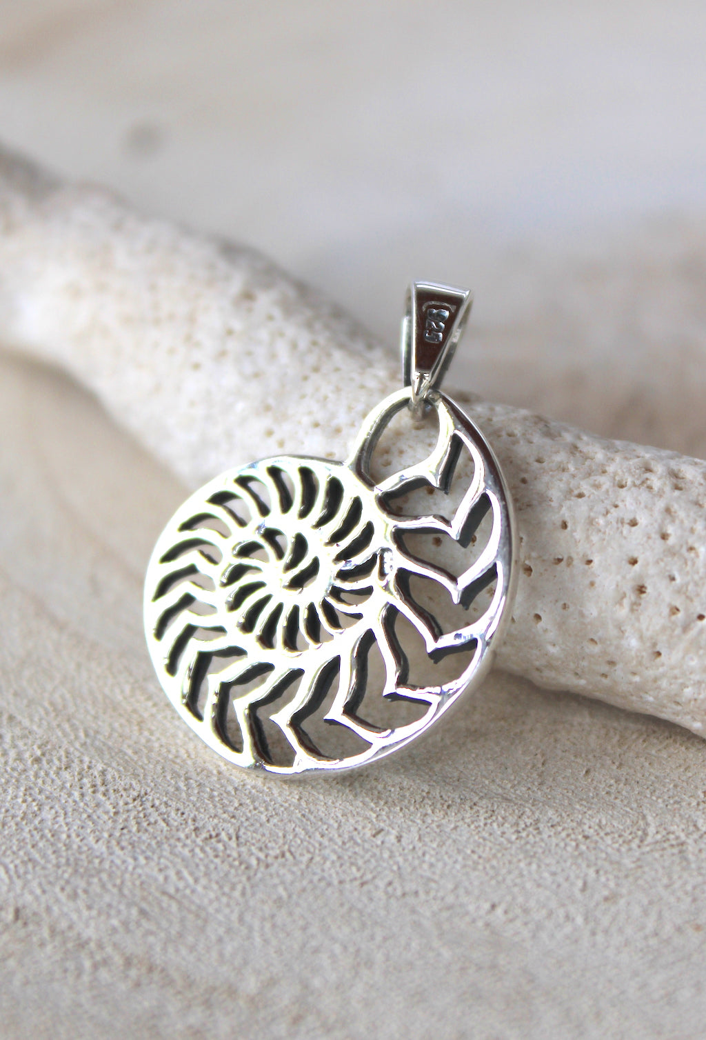 Ammonite Pendant/Necklace