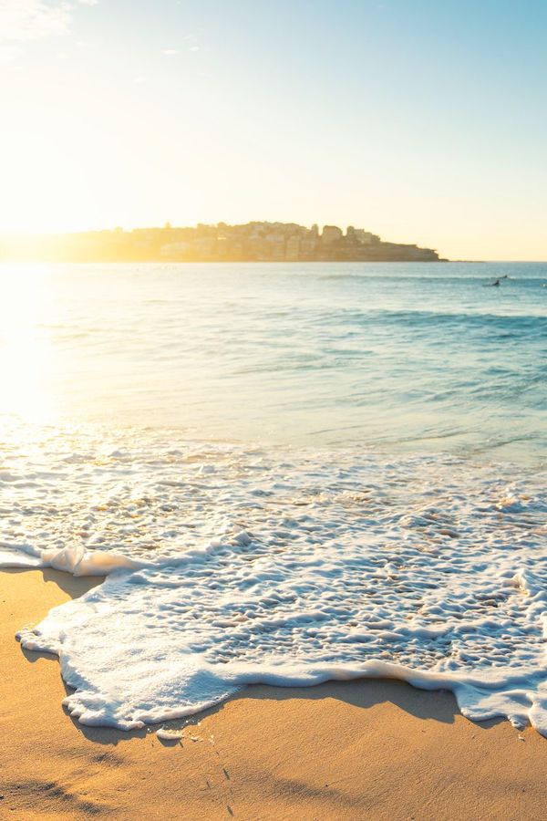 Maldives Open Sea Shell Necklace