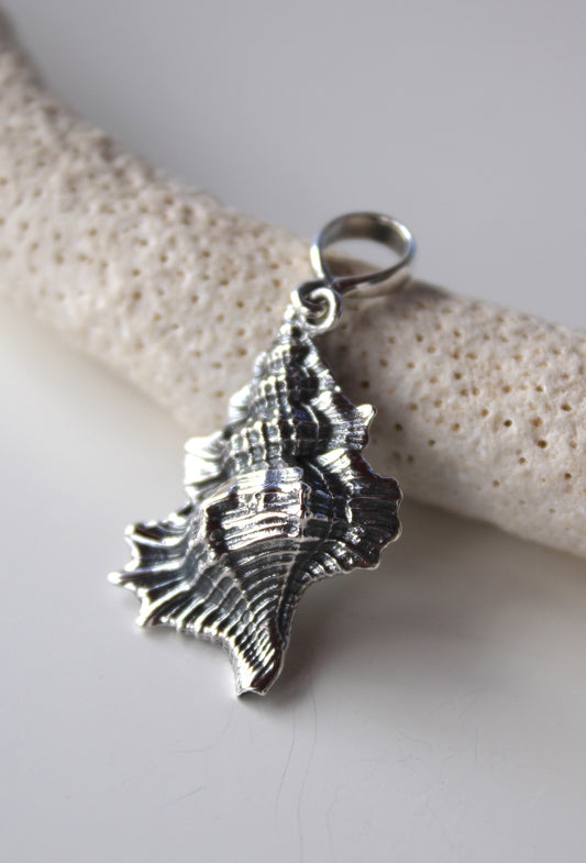 Large Sea Shell Pendant