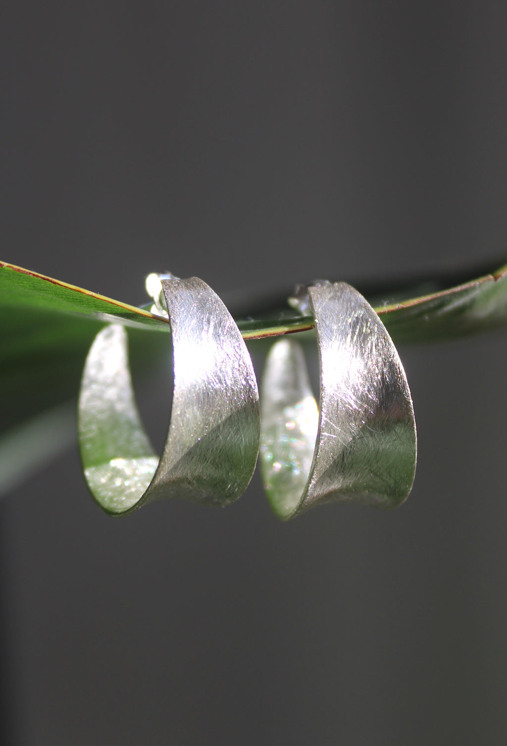 Bella ~ Brushed Creole Hoops