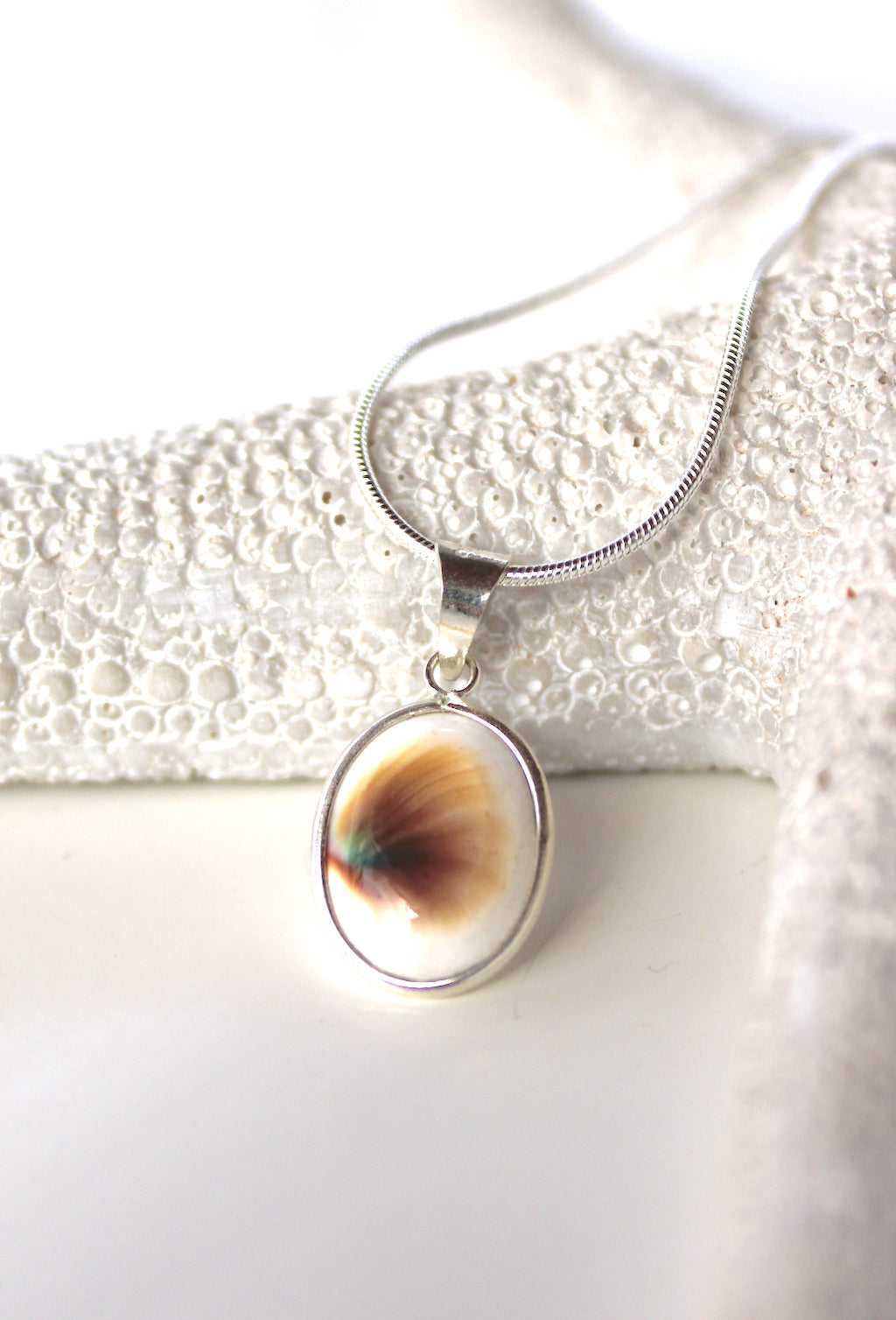 Shiva Eye Shell Necklace ~ Small Oval