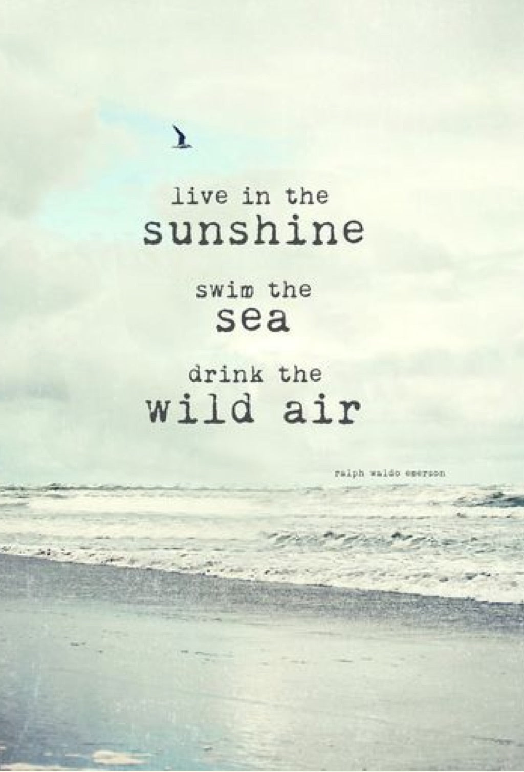 Ocean Surf Pendant|Necklace