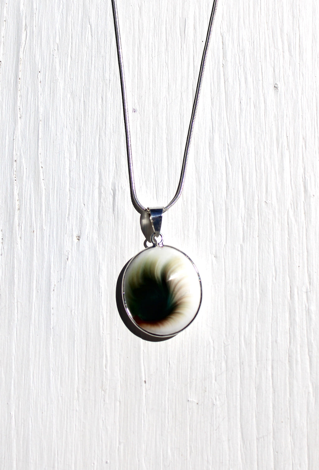 Shiva Eye Shell Necklace
