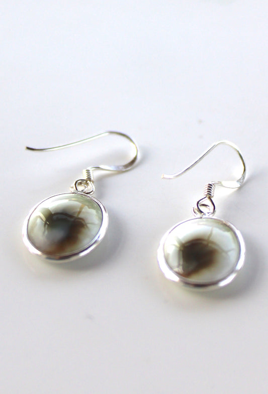 Shiva Eye Shell Small Round Drop Earrings