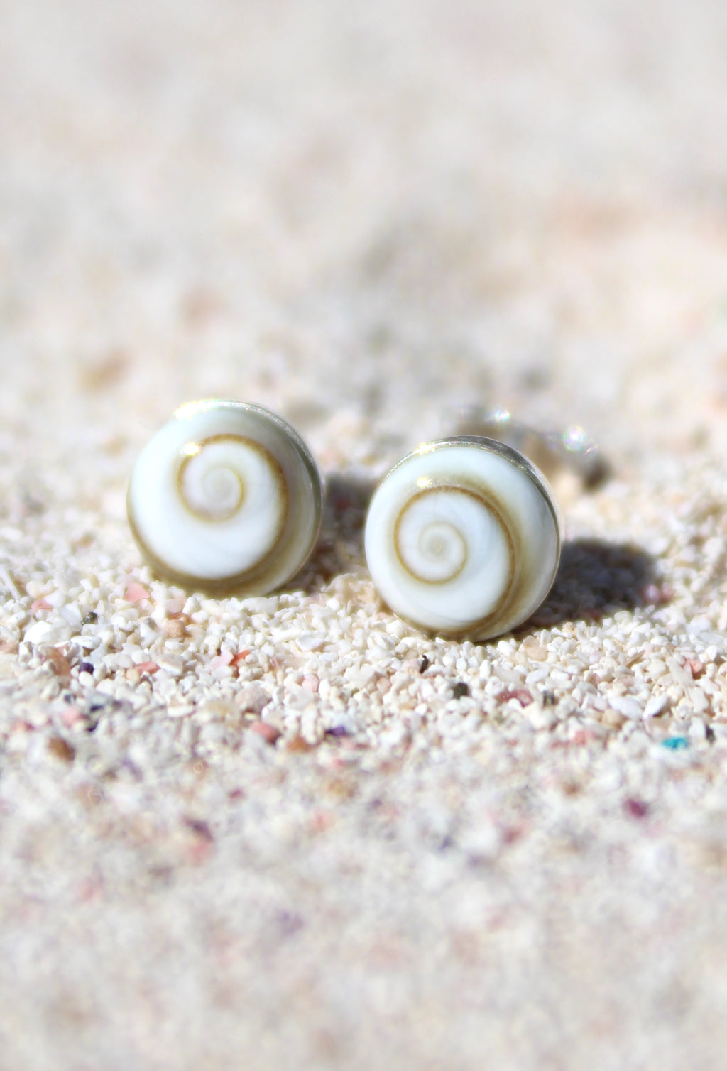 Shiva Eye Shell - Stud Earrings