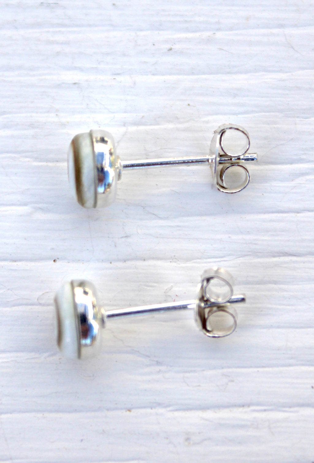 Shiva Eye Shell - Stud Earrings