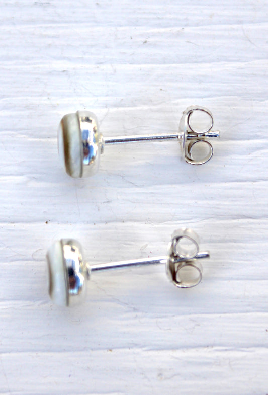 Shiva Eye Shell - Stud Earrings
