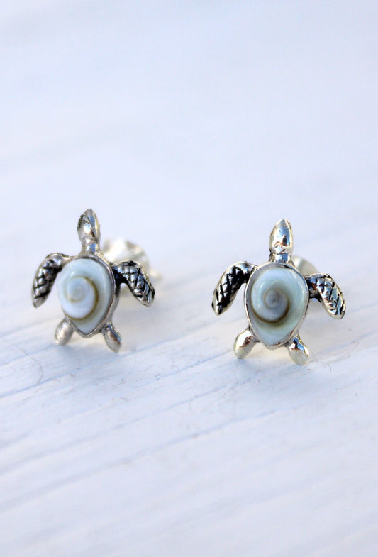 Shiva Eye Shell Turtle Stud Earrings