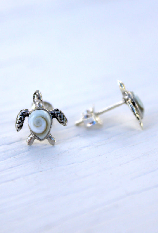 Shiva Eye Shell Turtle Stud Earrings