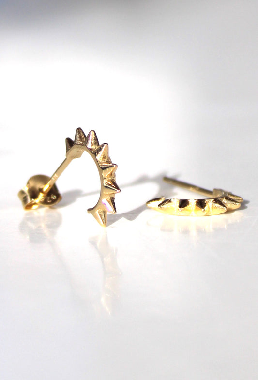 Cactus Spike Huggie Hoops