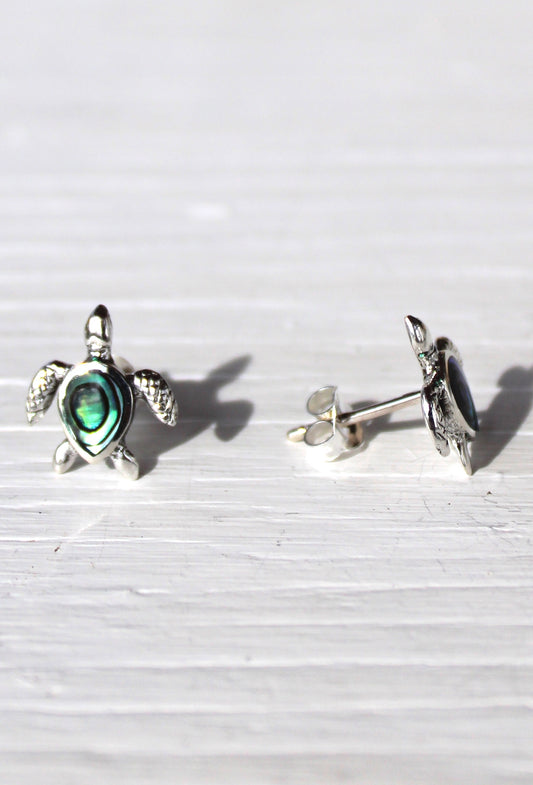 Turtle & Paua shell Earrings