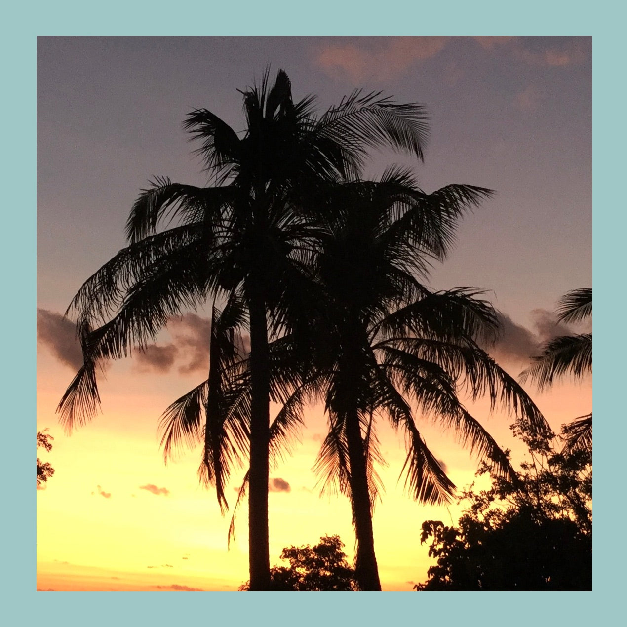 Tropical Golden Sunset Palms