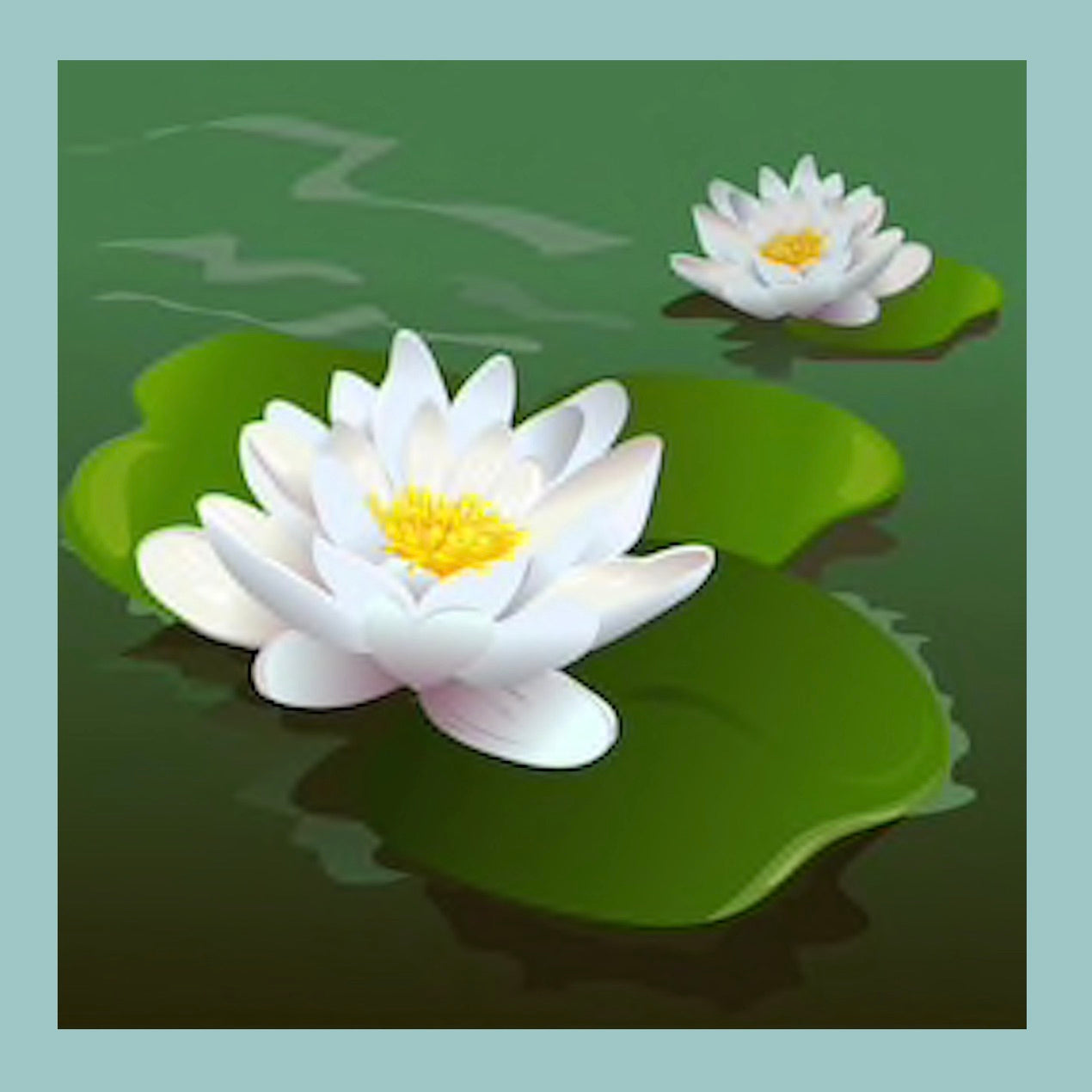 LOTUS | Lotus Flower Jewellery