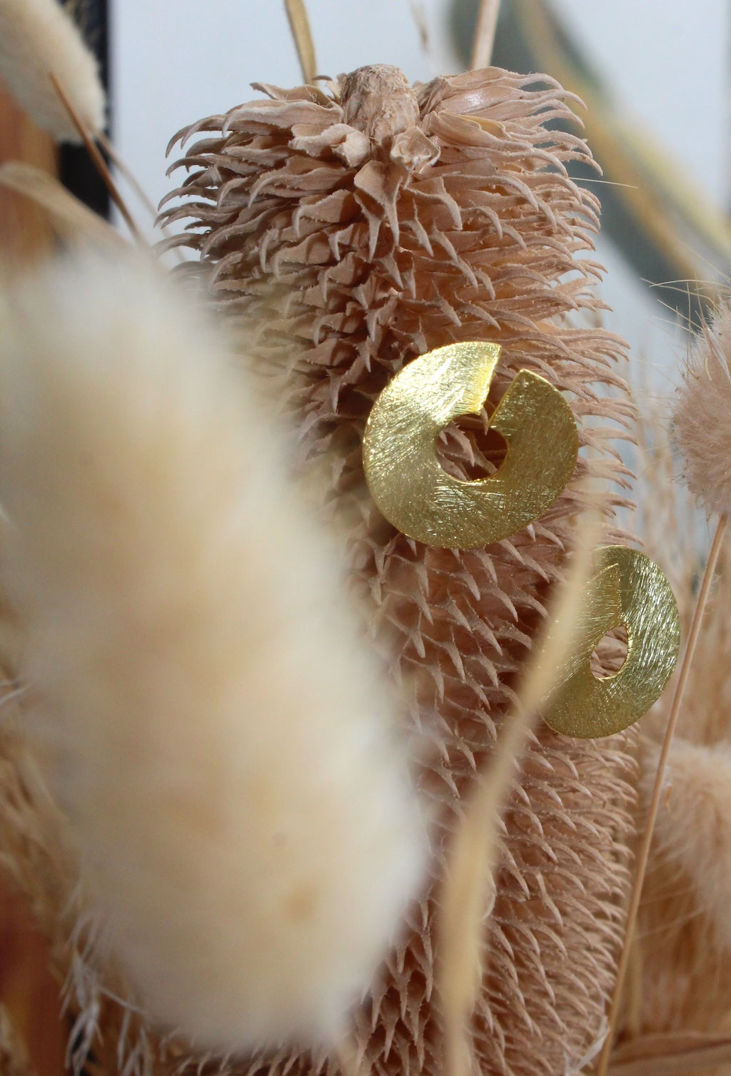 Caracola Abstract Spiral Stud Earrings