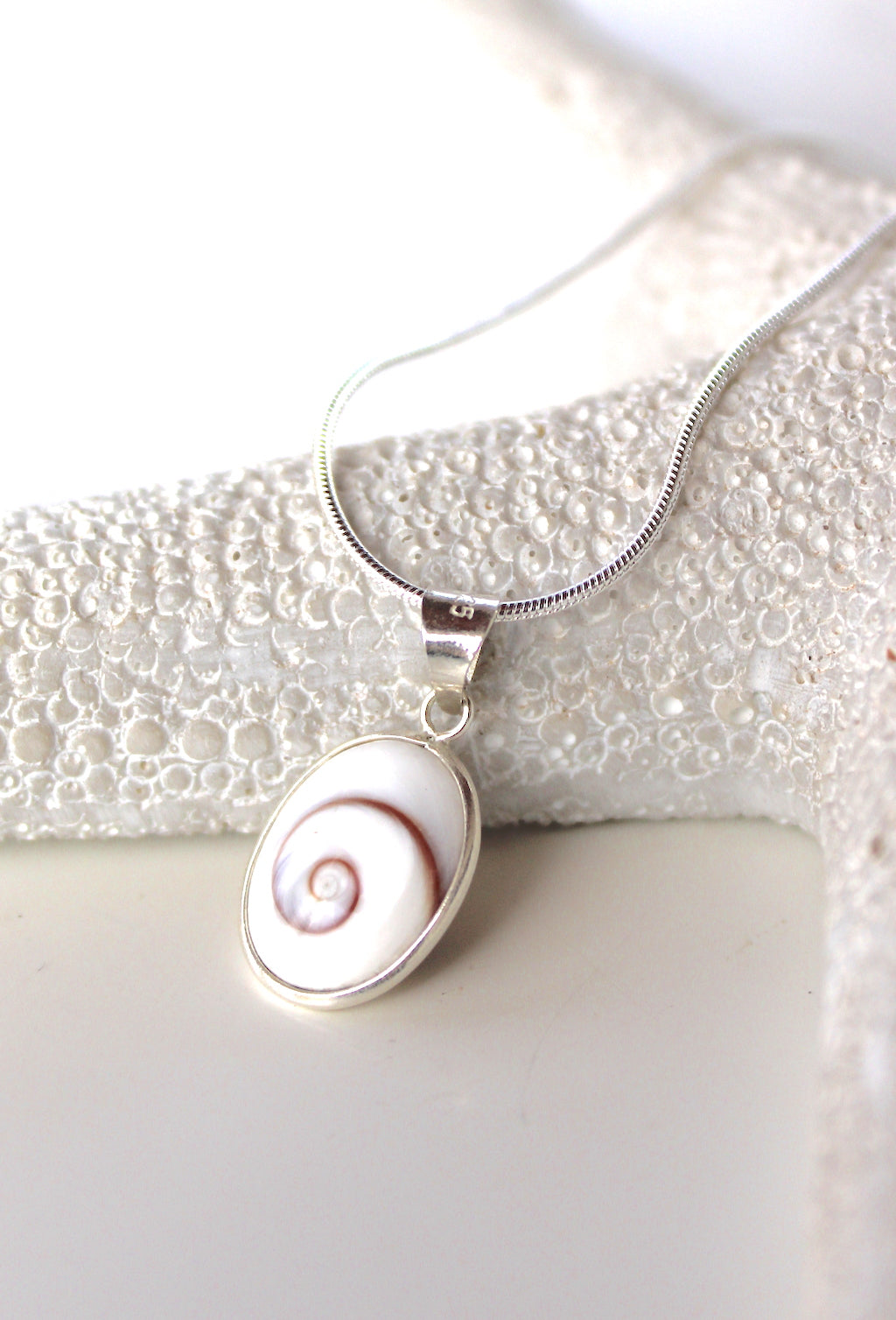 Mini Oval Shiva Eye Shell Necklace