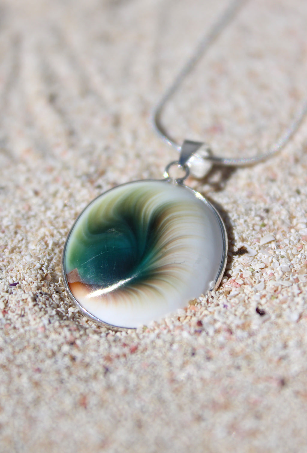 Shiva Eye Shell Necklace