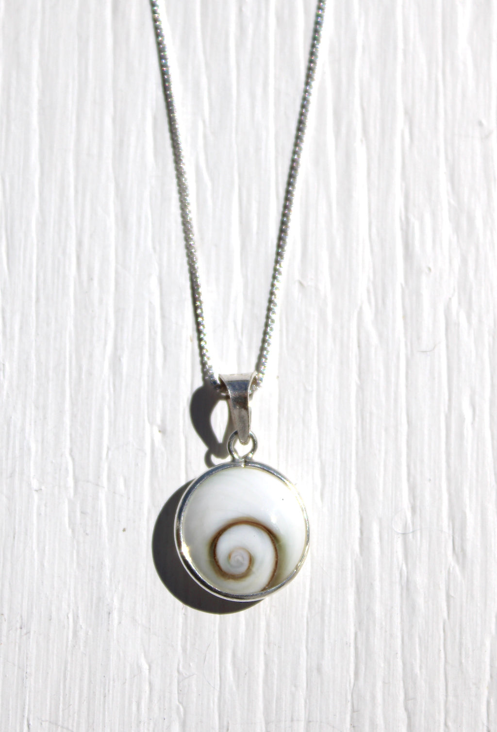 Small Shiva Eye Shell Necklace