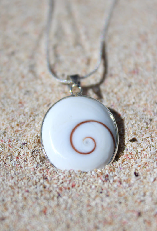 Classic Shiva Eye Shell Necklace - Regular or Large Size